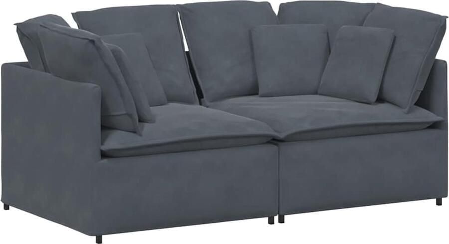 VidaXL Modulaire bank met kussens fluweel donkergrijs