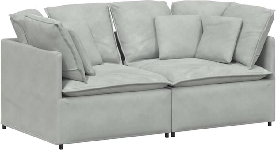 VidaXL Modulaire bank met kussens fluweel lichtgrijs