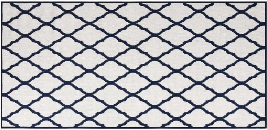 VidaXL Omkeerbaar Buitenkleed 100x200 cm Blauw Wit Tuin Tapijt Buiten Tapijt Revers Tapijt Polypropeen Tapijt Blauw Wit Tapijt