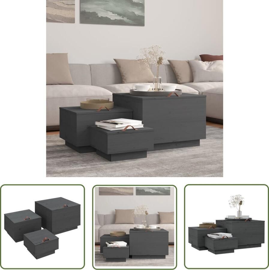 The Living Store Houten Opbergboxen Massief grenenhout Grijze kleur Grote- 57 x 55 x 40 cm Middelgrote- 45 x 43 x 30 cm Kleine- 35 x 33 x 20 cm Houten Opbergdozen Opbergkisten Grenoble Hout Grijze Kast Opbergoplossing - Foto 2