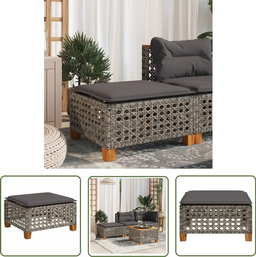 The Living Store Tuinkruk met kussen 63 5x56x32 cm poly rattan grijs Tuinkruk Outdoor Stoel Lounge Stoel Balkonstoel Terrasstoelen