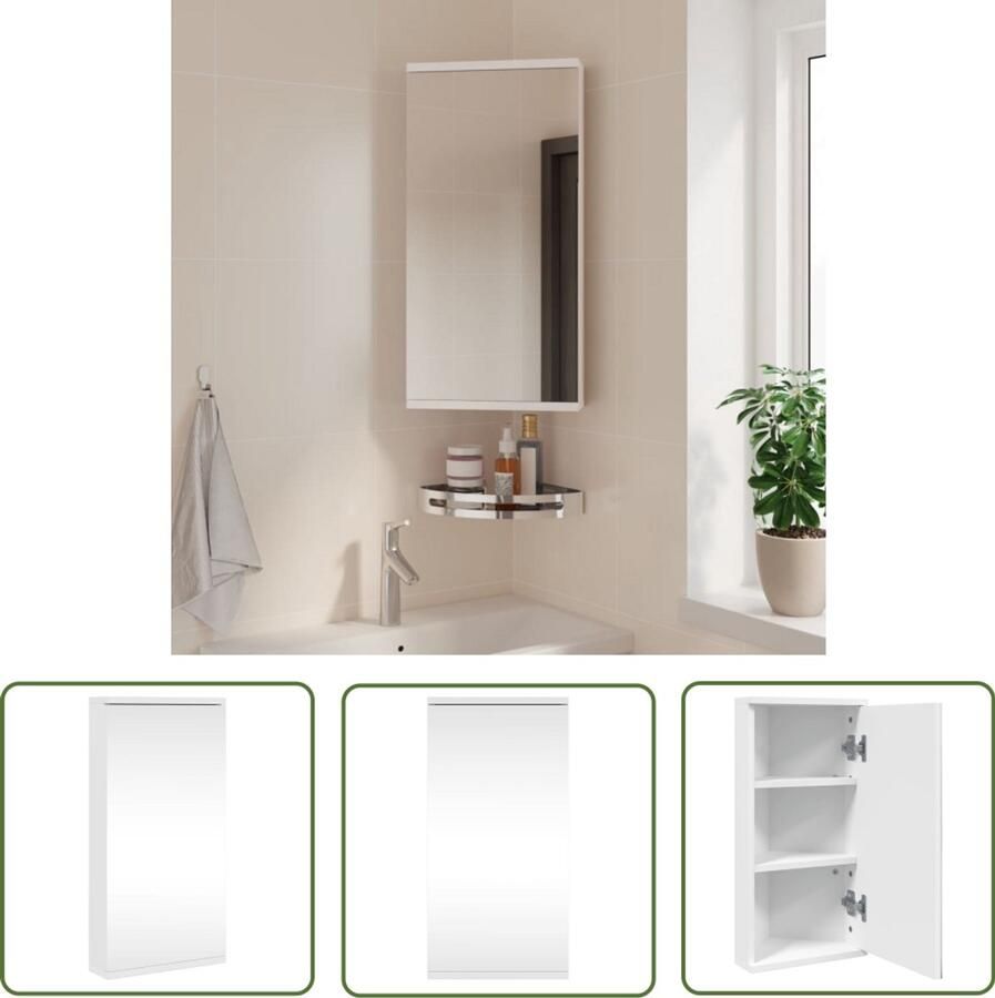 VidaXL Spiegelkast Badkamerkast met spiegel 30x24x60 cm wit Badkamerinrichting Opbergruimte Houten Kast