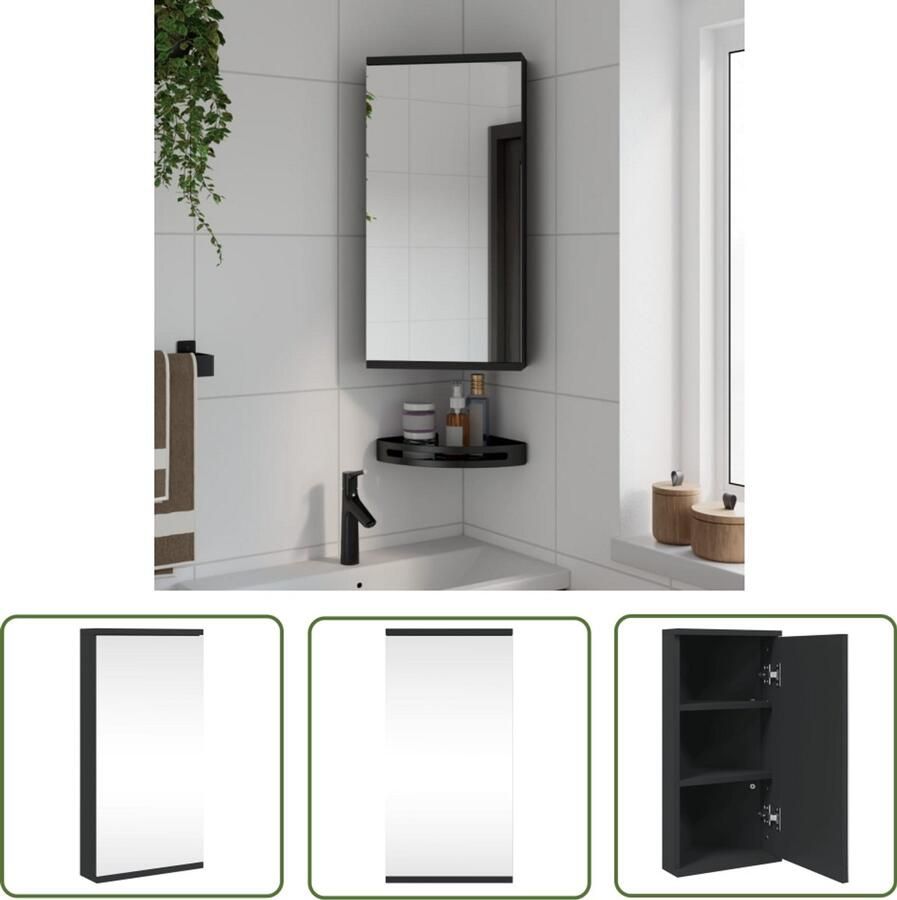 VidaXL Spiegelkast Badkamerkast met spiegel 30x24x60 cm zwart Badkamermeubilair Opslagoplossing Badkameraccessoires