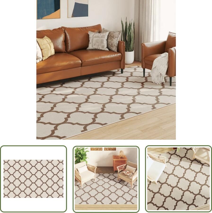 The Living Store Vloerkleed Sorona Dupont Indoor Outdoor 190 x 300 cm Meerkleurig Vloerkleed Tapijten Indoor Outdoor Bruin - Foto 3