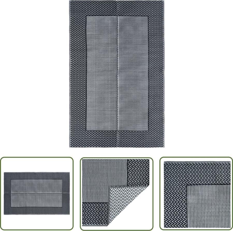 The Living Store Buitenkleed ARAKIL 160x230 cm PP grijs Tuintapijt Buitentapijten Terras Tapijten Outdoor Tapijt Polypropylene Tapijt - Foto 2