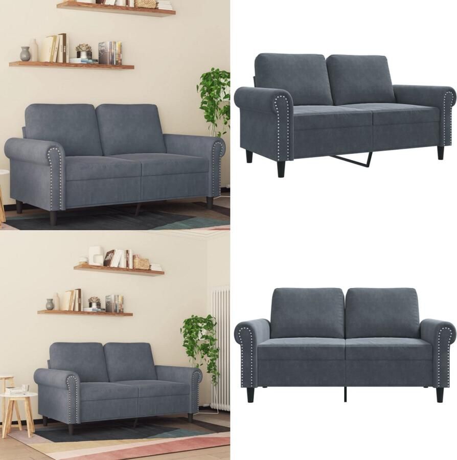 VidaXL Tweezitsbank 120 cm fluweel donkergrijs 2-zitsbank 2-zitsbanken Bank Sofa