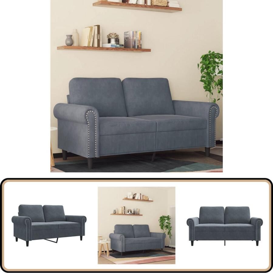 VidaXL Tweezitsbank Fluweel Donkergrijs 120 cm Tweezitsbank Donker Grijs Fluweel Salon Meubilair Lounge Bank