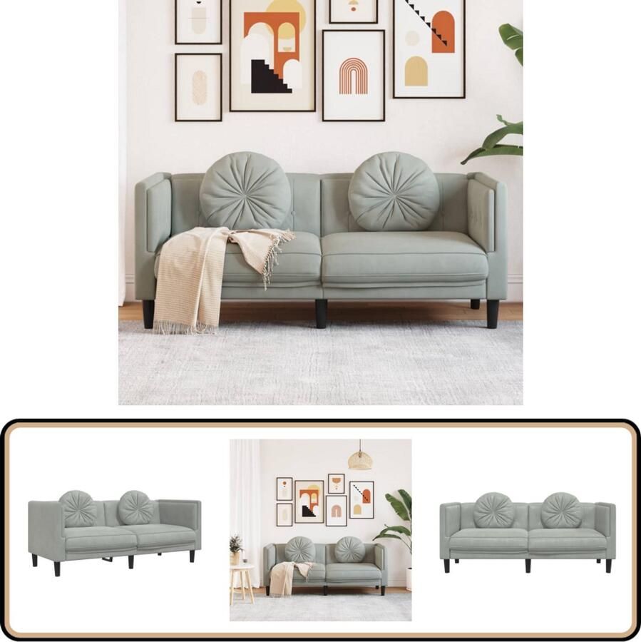 VidaXL Tweezitsbank Fluweel Lichtgrijs Inclusief Kussens Tweezitsbank Velvet Bank Fluweelb Bank Grijze Bank Banks Kopen