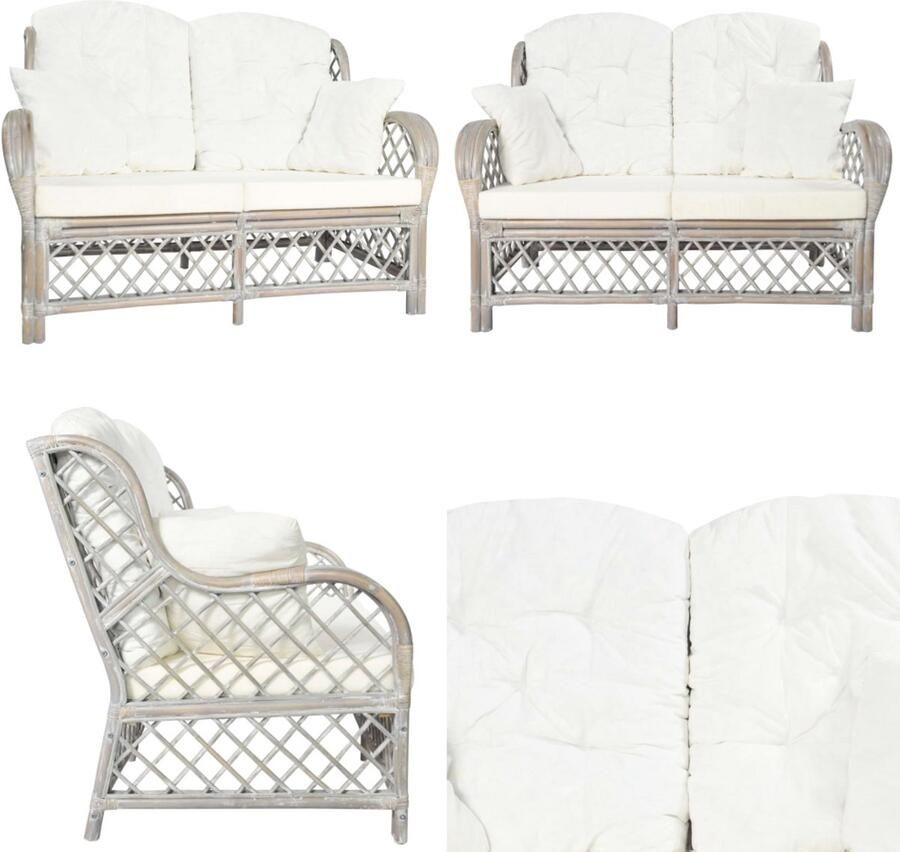 VidaXL Tweezitsbank rattan grijs Tweezitsbank Tweezitsbanken 2-zitsbank 2-zitsbanken