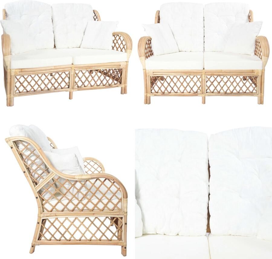 VidaXL Tweezitsbank rattan Tweezitsbank Tweezitsbanken 2-zitsbank 2-zitsbanken