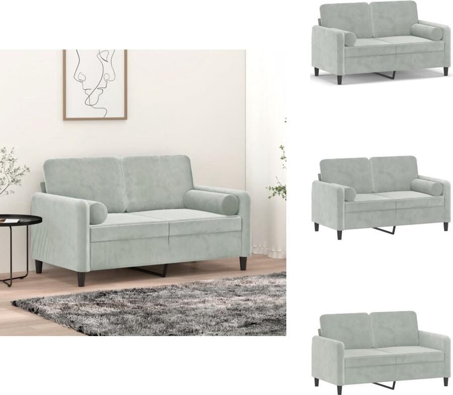 VidaXL Tweezitsbank Tweezitsbanken 2-zitsbank Bank Tweezitsbank met sierkussens 120 cm fluweel lichtgrijs