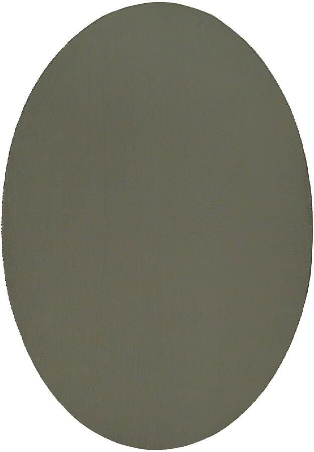 VidaXL Vloerkleden Bosgroen Polypropeen 160 x 230 cm Vloerkleed Ovaal - Foto 3