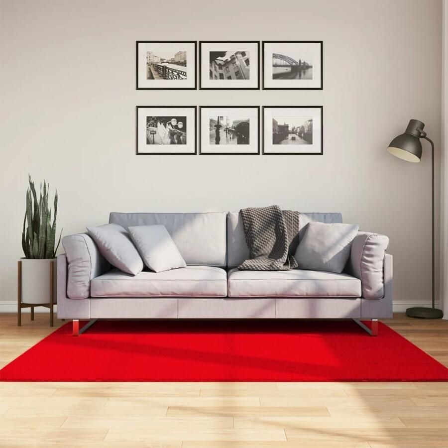 VidaXL Vloerkleed HUARTE 120x170 cm Rood Vloerkleed Tapijt Huiskamertapijt Slaapkamertapijt Rode Vloerkleed