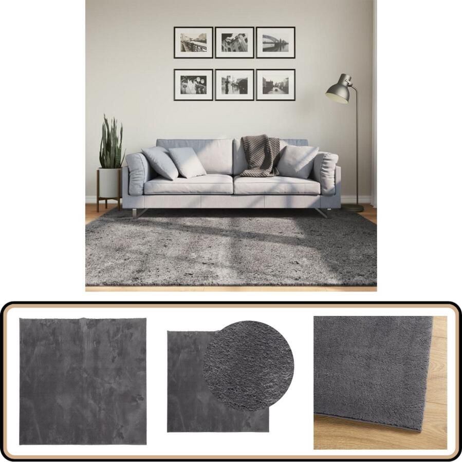 VidaXL The Living Store Vloerkleed HUARTE laagpolig zacht wasbaar 200x200 cm antraciet Vloerkleed Antraciet Polyester Zacht Anti Slip