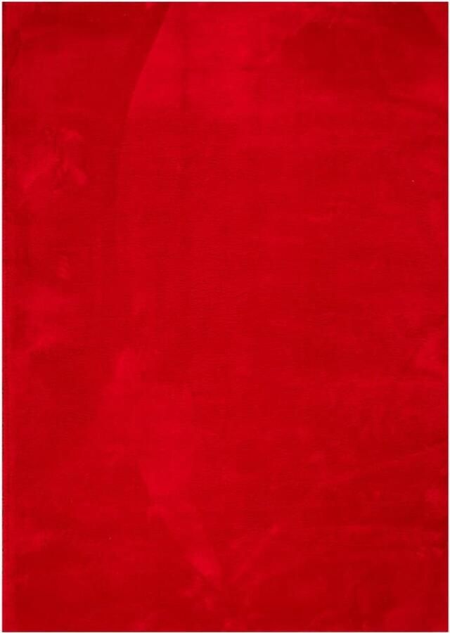 The Living Store HUARTE Vloerkleed 200 x 280 cm Rood Fluffy Polyester Eco-Friendly Vloerkleed Rode Vloerkleed Zacht Vloerkleed Fluffy Vloerkleed Polyester Vloerkleed - Foto 4
