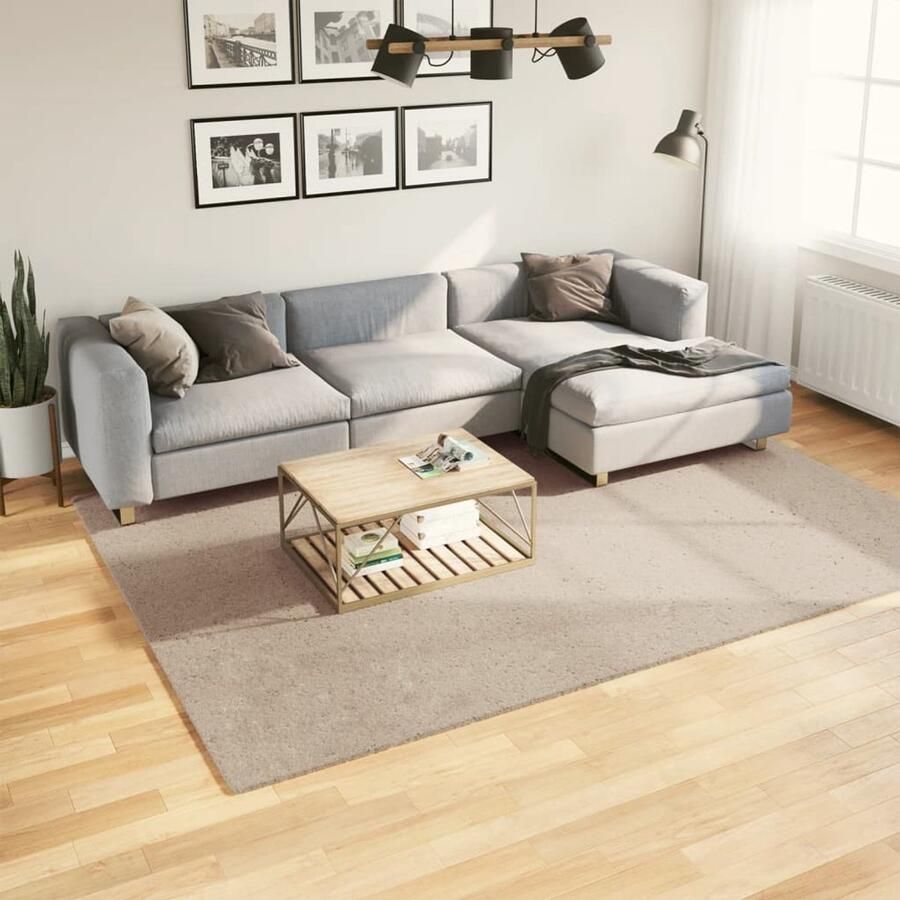 VidaXL Vloerkleed HUARTE 200x280cm Zandkleurig Vloerkleed Tapijten Woonkamertapijt Slaapkamertapijt Beige Vloerkleed