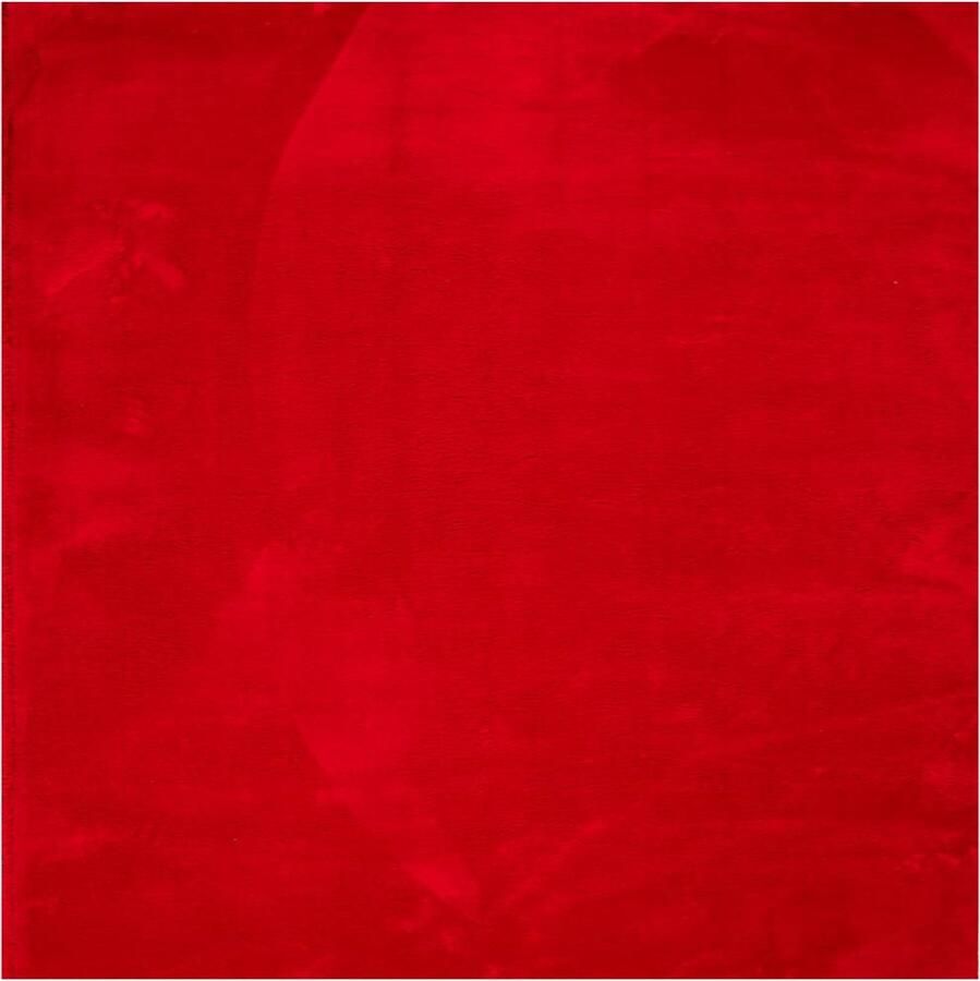 VidaXL Vloerkleed HUARTE 200x200 cm Rood Vloerkleed Huiskamer Slaapkamer Rood Polyester