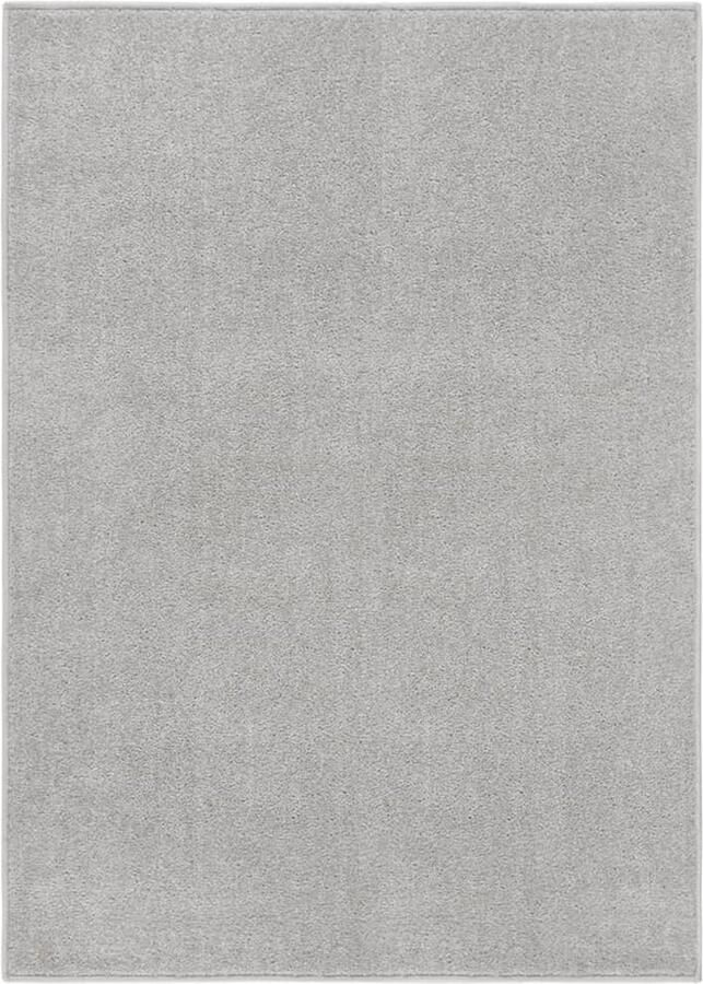 VidaXL Vloerkleed kortpolig 140x200 cm lichtgrijs Vloerkleed Licht Grijs Vloerkleed Polypropylene Vloerkleed Modern Vloerkleed Landelijk Vloerkleed Groot Vloerkleed Kamerdecoratie Livingroom Accessoires - Foto 2