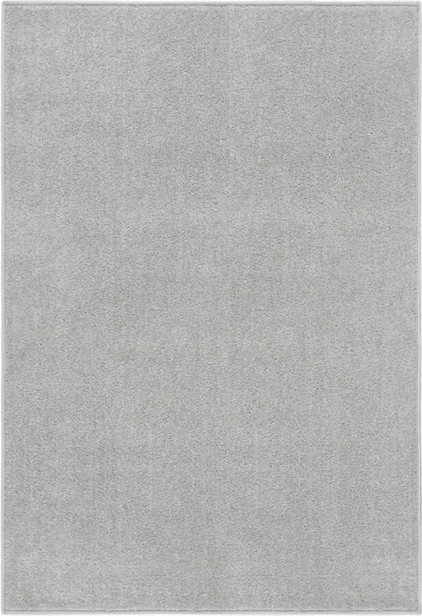VidaXL Vloerkleed Lichtgrijs 160x230 cm Kortpolig Vloerkleed Klassieke Stijl Grijs Vloerkleed Kunststof Vloerkleed Groot Vloerkleed