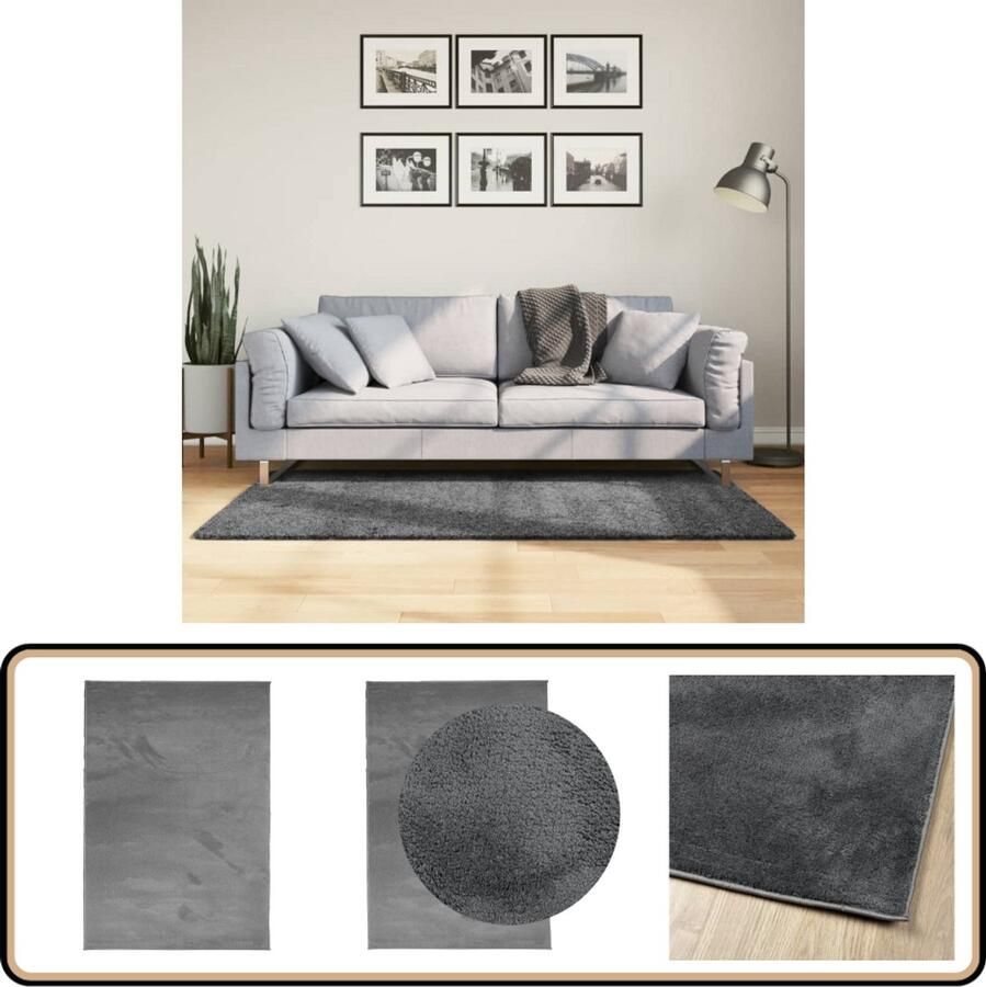 The Living Store OVIEDO Vloerkleed 120 x 170 cm Antraciet Getest op schadelijke stoffen volgens STANDARD 100 OEKO-TEX Vloerkleed Antraciet Kleurt Polyester Vloerkleed Zacht Vloerkleed Lage Polij Vloerkleed
