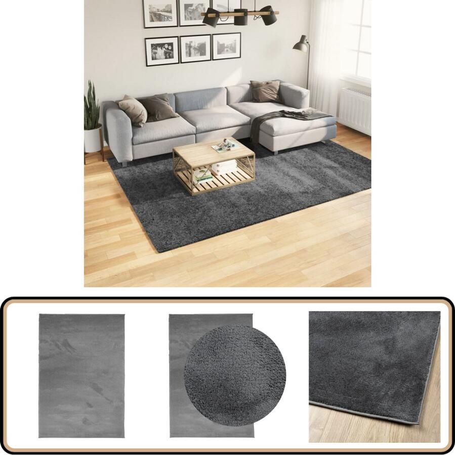 The Living Store OVIEDO Vloerkleed 200 x 280 cm Antraciet Polyester Getest op schadelijke stoffen Vloerkleed Tapijten Anthraciethoudend Polyester Antieke Meubels
