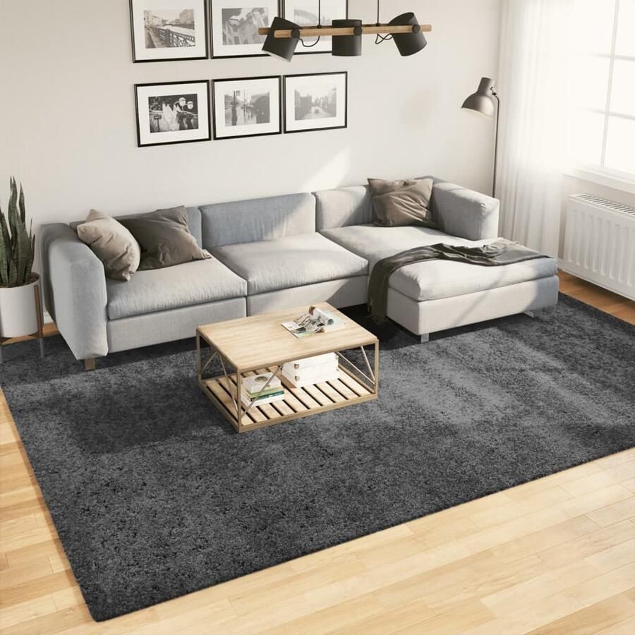 VidaXL Vloerkleed OVIEDO 240x340 cm Antraciet Vloerkleed Tapijten Woonkamertapijt Slaapkamertapijt Haltapijt