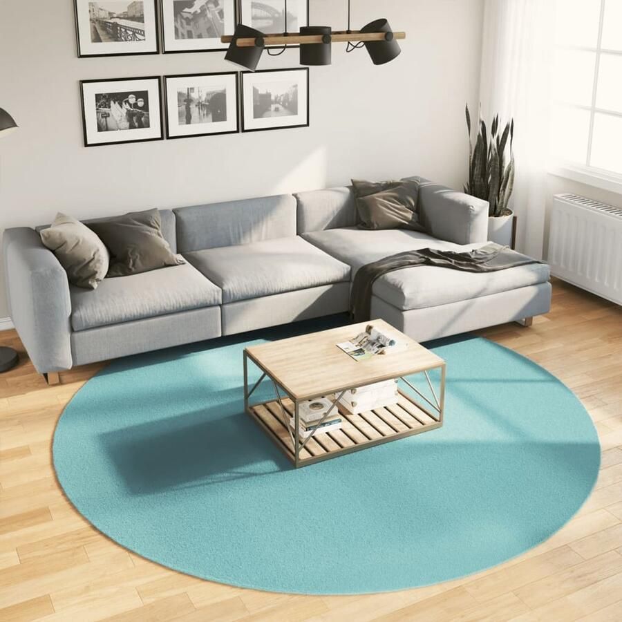 VidaXL Vloerkleed OVIEDO Groen á 240 cm Vloerkleed Groene Vloerkleed Ronde Vloerkleed Polyester Vloerkleed Zacht Vloerkleed