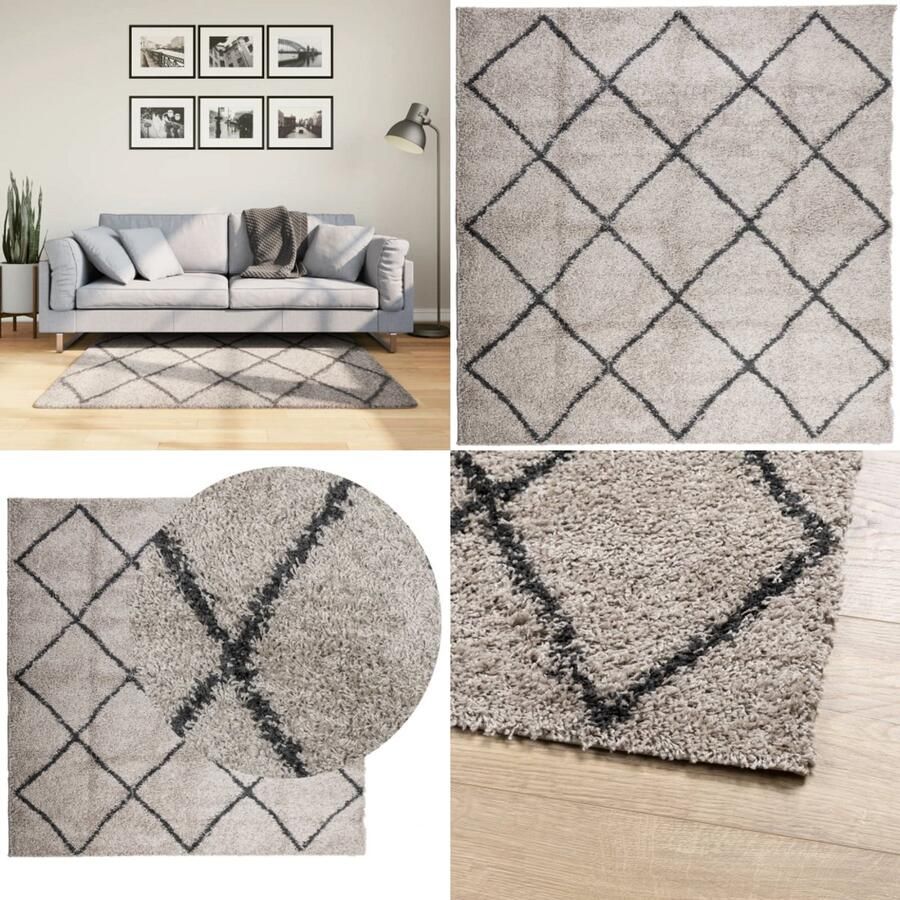 VidaXL Vloerkleed PAMPLONA shaggy hoogpolig 120x120 cm beige antraciet Vloerkleed Vloerkleden Tapijt Vloerbedekking