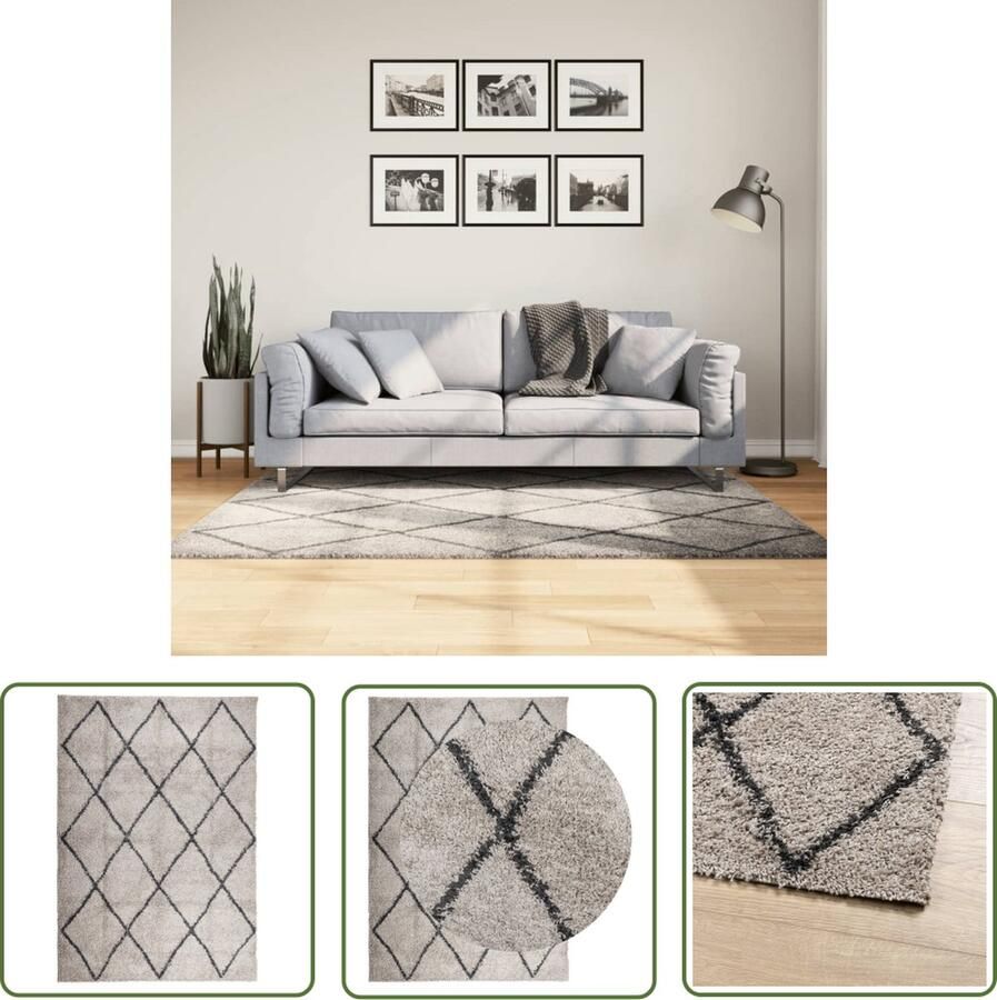 The Living Store PAMPLONA Vloerkleed 120 x 170 cm Zacht shaggy beige en antraciet Duurzaam 100% polypropyleen Shaggy Vloerkleed Woonkamer Tapijt Beige Vloerkleed Antraciet Vloerkleed Groot Vloerkleed - Foto 3