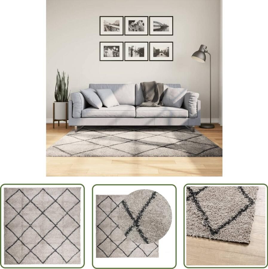 The Living Store PAMPLONA Vloerkleed 160 x 160 cm Zacht Shaggy met 30 mm poolhoogte Shaggy Vloerkleed Polypropyleen Vloerkleed Beige Vloerkleed Antraciet Vloerkleed Woonkamer Tapijt