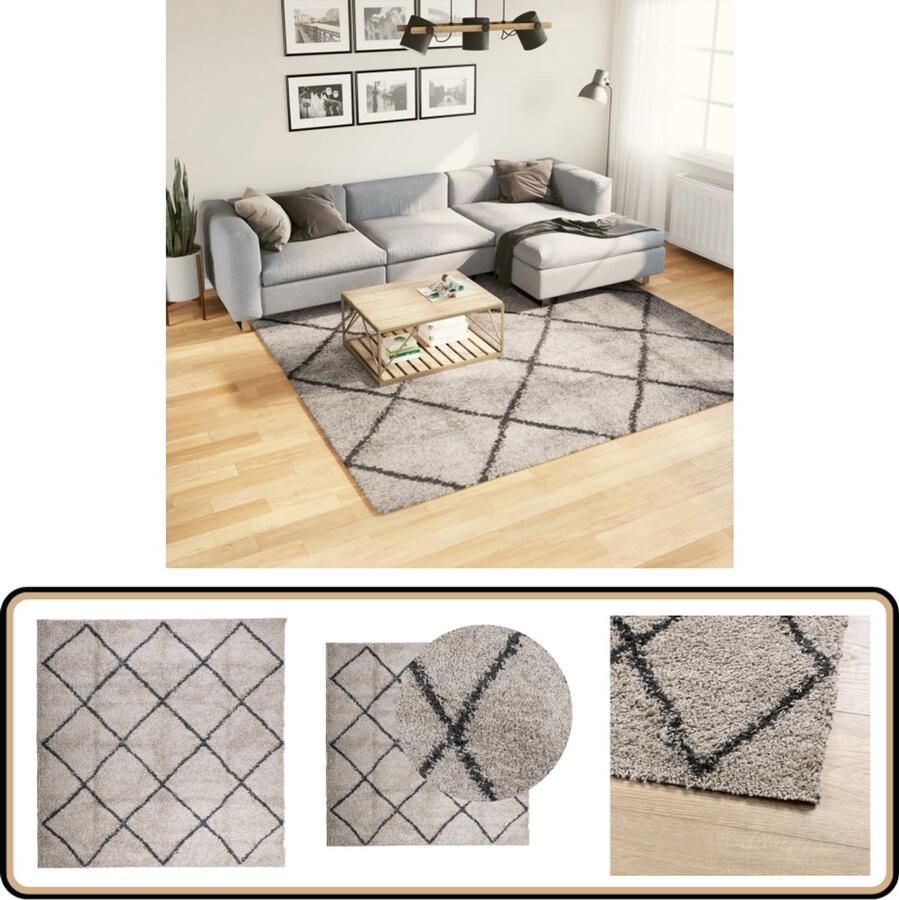 The Living Store PAMPLONA Shaggy vloerkleed 240 x 240 cm Duurzaam 100% polypropeen Shaggy Vloerkleed Polypropyleen Vloerkleed Woonkamer Tapijt Slaapkamer Tapijt Groot Vloerkleed - Foto 2