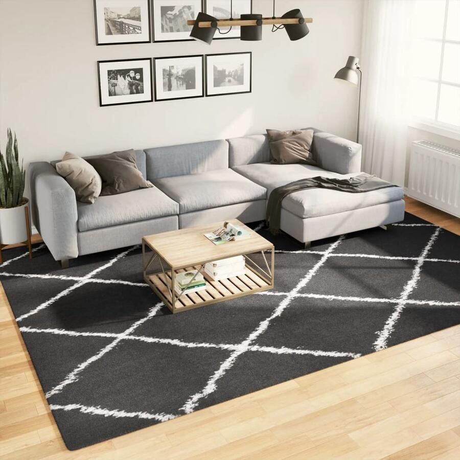 VidaXL Vloerkleed Shaggy Hoogpolig 240x340cm Shaggy Tapijt Woonkamer Tapijt Slaapkamer Tapijt Zwarte Tapijten Creme Tapijten