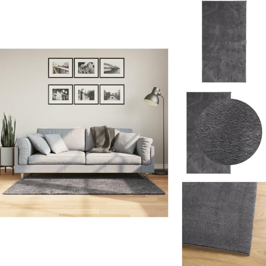 VidaXL Vloerkleed Vloerkleden Tapijt Vloerbedekking Vloerkleed HUARTE laagpolig zacht wasbaar 80x150 cm antraciet