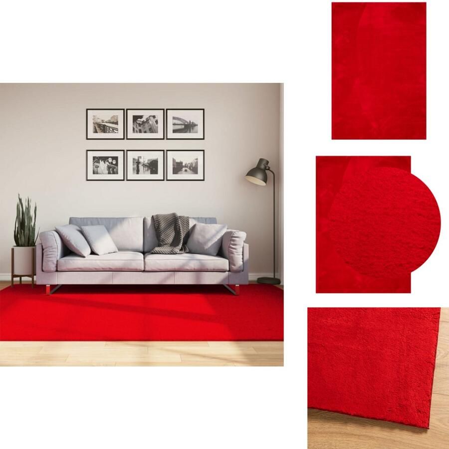 VidaXL Vloerkleed Vloerkleden Tapijt Vloerbedekking Vloerkleed HUARTE laagpolig zacht wasbaar 160x230 cm rood
