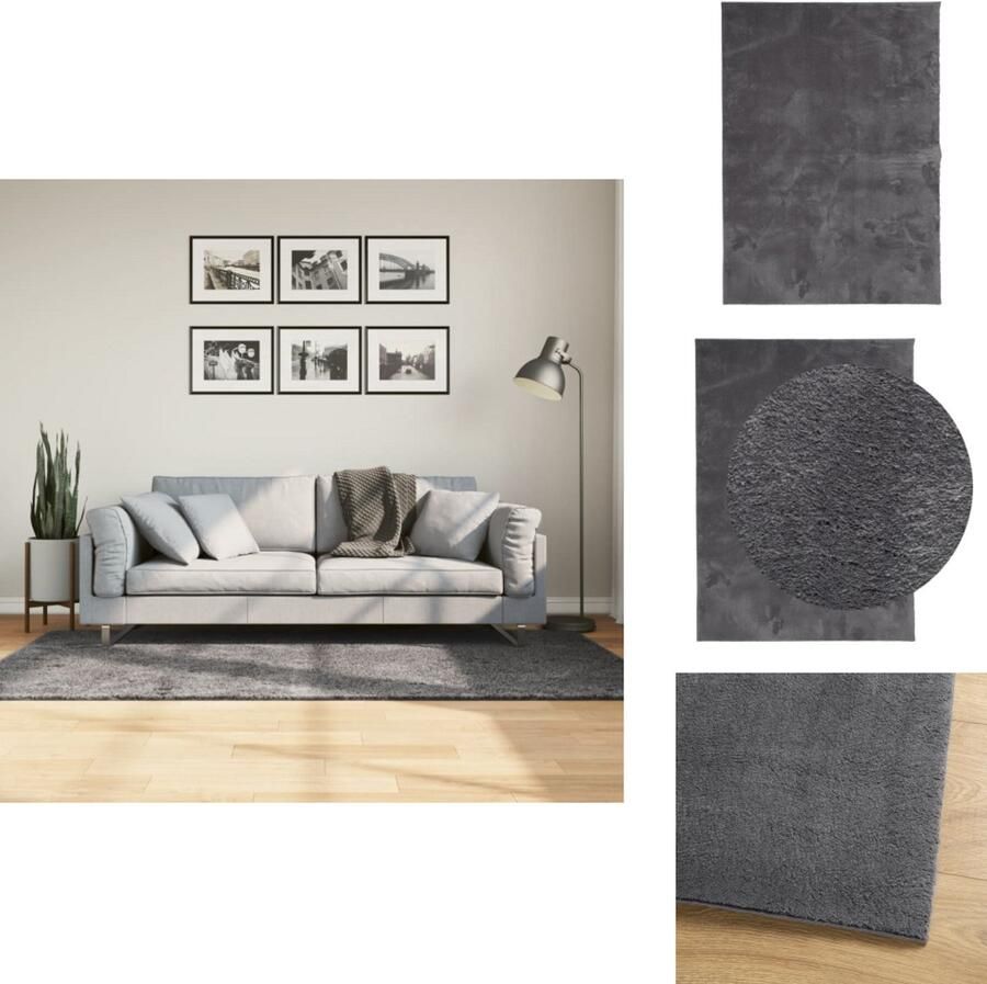 The Living Store HUARTE Vloerkleed 120 x 170 cm Antraciet Polyester Modern Vachtachtig Design Vloerkleed Huarte Antraciet Polyester Zacht - Foto 4