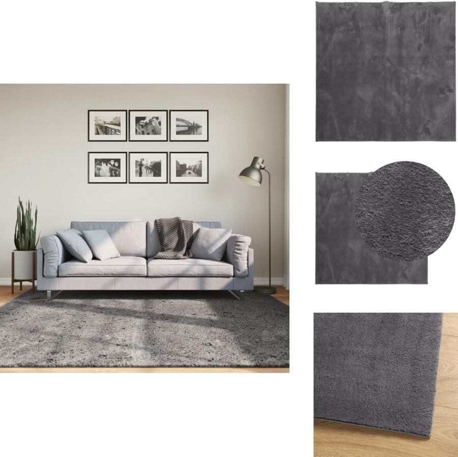 VidaXL Vloerkleed Vloerkleden Tapijt Vloerbedekking Vloerkleed HUARTE laagpolig zacht wasbaar 200x200 cm antraciet