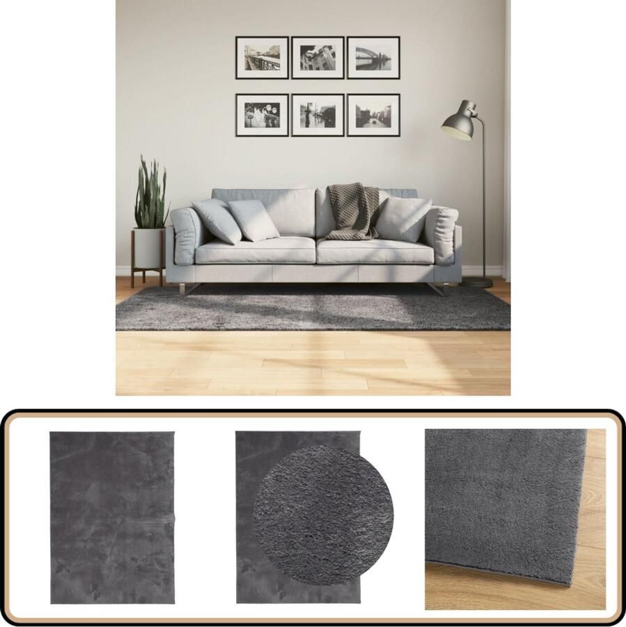 The Living Store HUARTE Vloerkleed 120 x 170 cm Antraciet Polyester Modern Vachtachtig Design Vloerkleed Huarte Antraciet Polyester Zacht - Foto 3