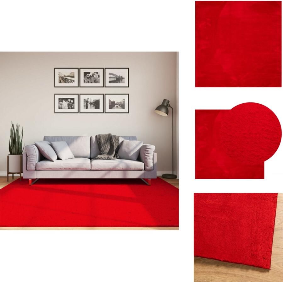 VidaXL Vloerkleed Vloerkleden Tapijt Vloerbedekking Vloerkleed HUARTE laagpolig zacht wasbaar 200x200 cm rood