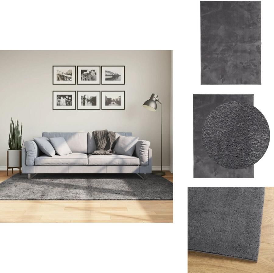 VidaXL Vloerkleed Vloerkleden Tapijt Vloerbedekking Vloerkleed HUARTE laagpolig zacht wasbaar 140x200 cm antraciet