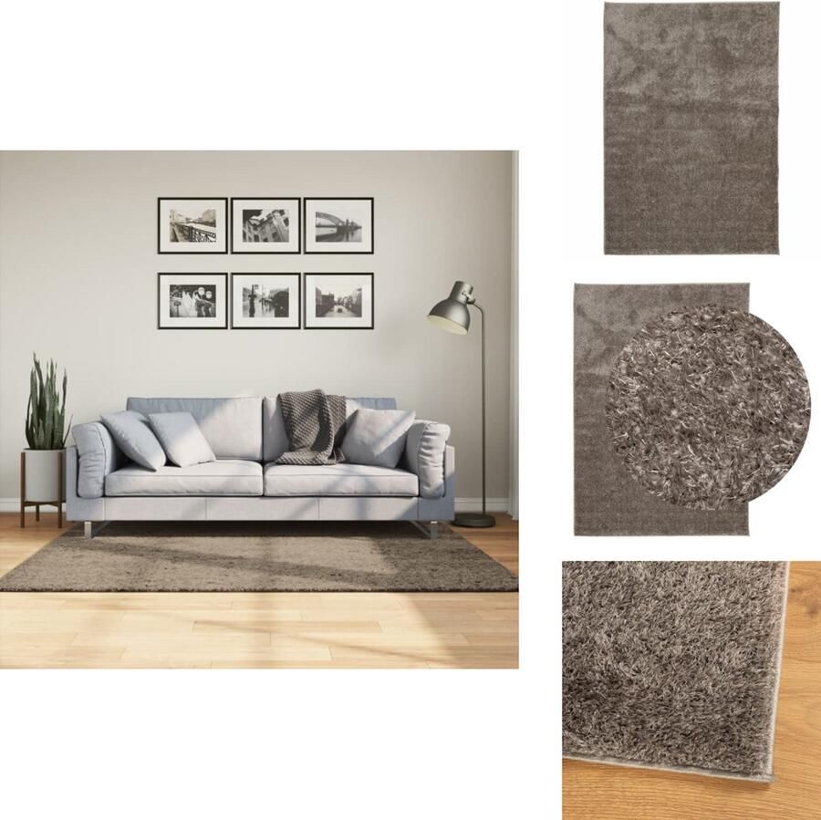 VidaXL Vloerkleed Vloerkleden Tapijt Vloerbedekking Vloerkleed ISTAN hoogpolig glanzend 120x170 cm grijs