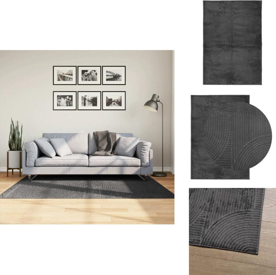 VidaXL Vloerkleed Vloerkleden Tapijt Vloerbedekking Vloerkleed IZA laagpolig Scandinavisch 120x170 cm antraciet
