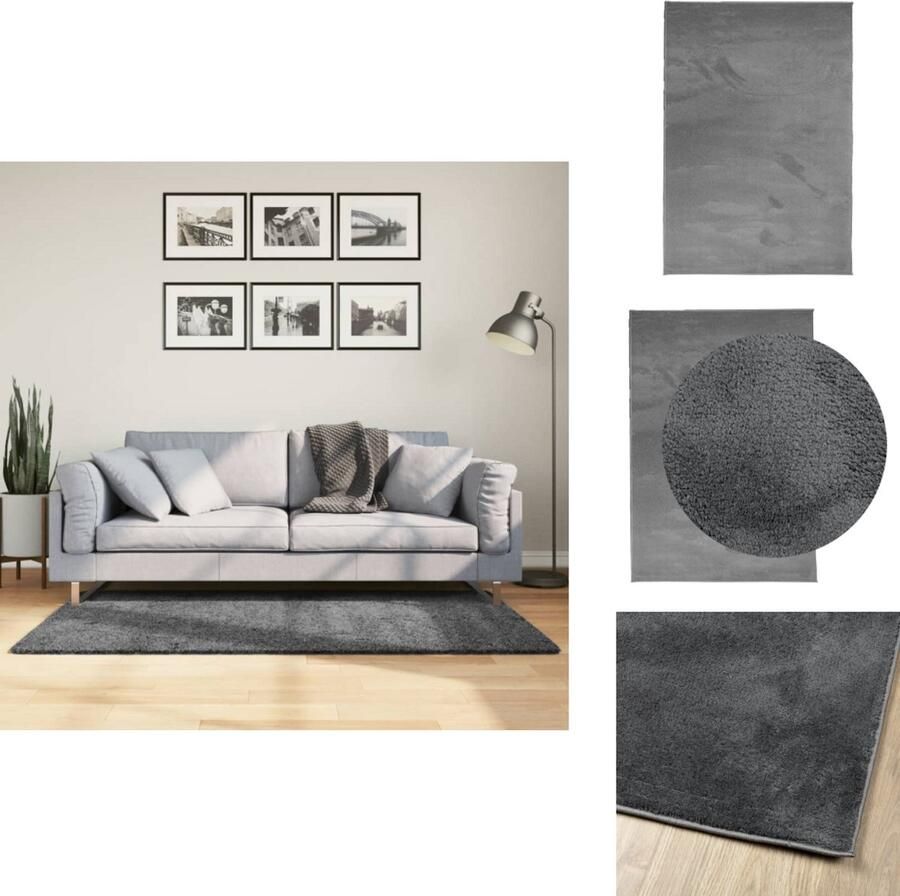 VidaXL Vloerkleed Vloerkleden Tapijt Vloerbedekking Vloerkleed OVIEDO laagpolig 120x170 cm antracietkleurig