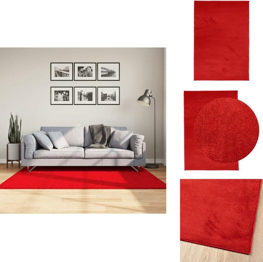 The Living Store OVIEDO Vloerkleed 120 x 170 cm Rood Polyester Vloerkleed Tapijten Rode Vloerkleed Polyester Vloerkleed Zacht Vloerkleed