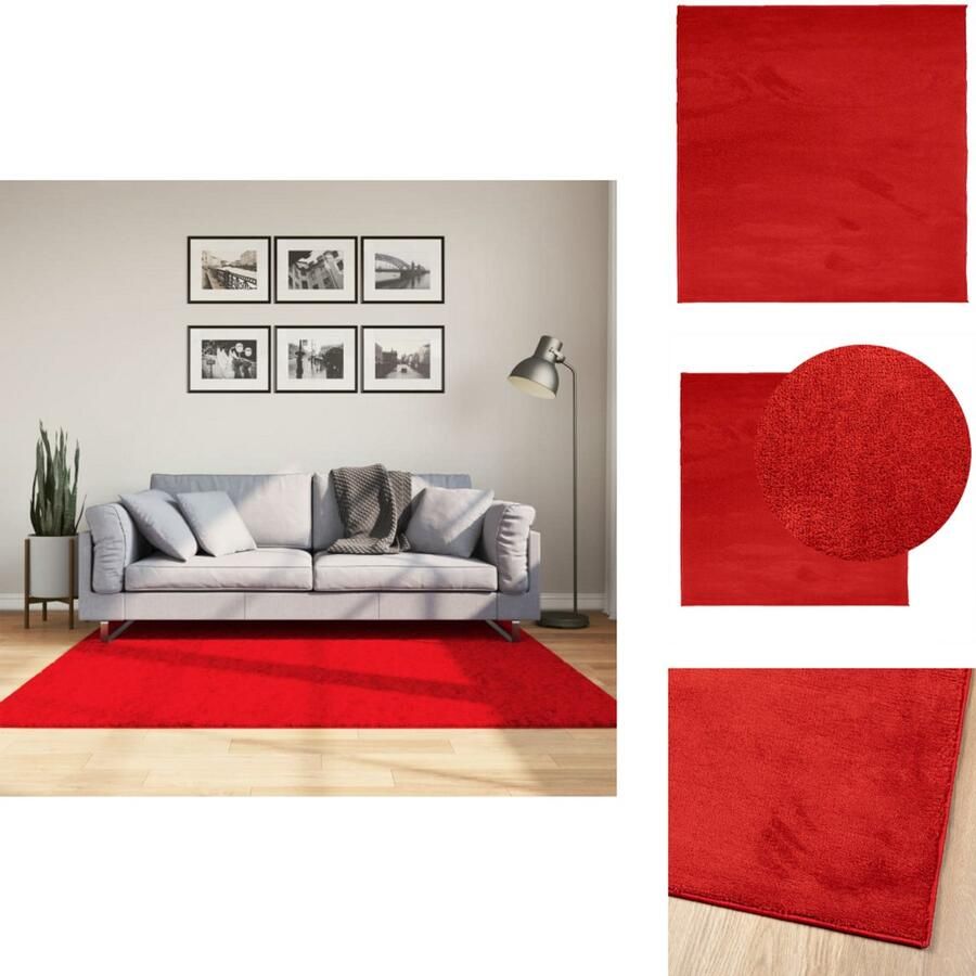VidaXL Vloerkleed Vloerkleden Tapijt Vloerbedekking Vloerkleed OVIEDO laagpolig 160x160 cm rood