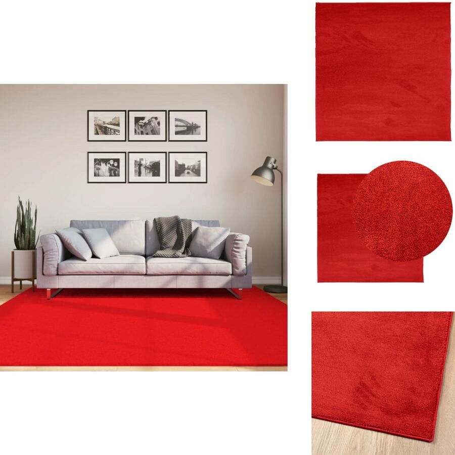 VidaXL Vloerkleed Vloerkleden Tapijt Vloerbedekking Vloerkleed OVIEDO laagpolig 200x200 cm rood