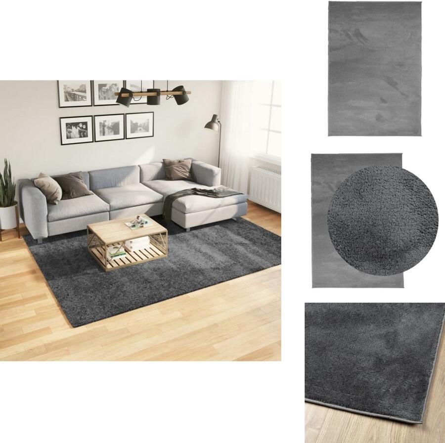 VidaXL Vloerkleed Vloerkleden Tapijt Vloerbedekking Vloerkleed OVIEDO laagpolig 200x280 cm antracietkleurig