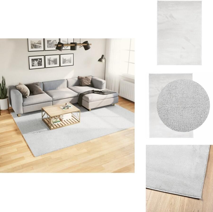 VidaXL Vloerkleed Vloerkleden Tapijt Vloerbedekking Vloerkleed OVIEDO laagpolig 200x280 cm grijs