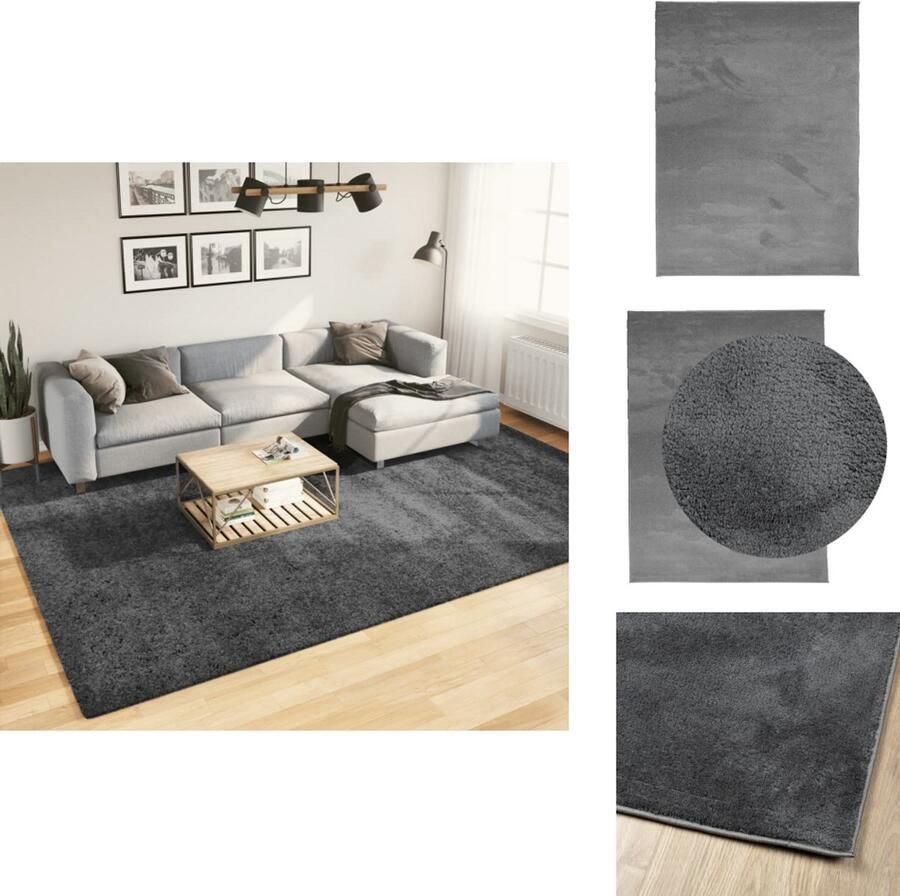 VidaXL Vloerkleed Vloerkleden Tapijt Vloerbedekking Vloerkleed OVIEDO laagpolig 240x340 cm antracietkleurig