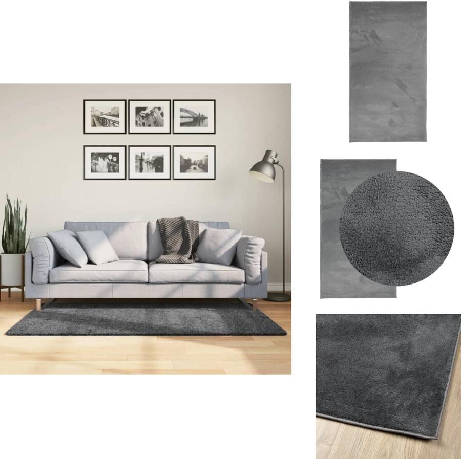 VidaXL Vloerkleed Vloerkleden Tapijt Vloerbedekking Vloerkleed OVIEDO laagpolig 80x150 cm antracietkleurig