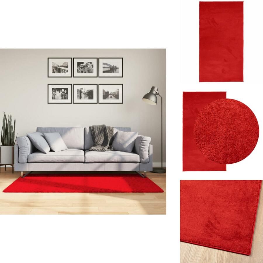 VidaXL Vloerkleed Vloerkleden Tapijt Vloerbedekking Vloerkleed OVIEDO laagpolig 80x150 cm rood